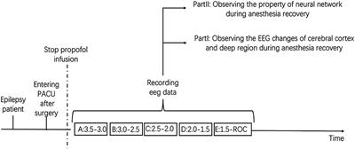 Electrophysiological Activity and Brain Network During Recovery of Propofol Anesthesia: A Stereoelectroencephalography-Based Analysis in Patients With Intractable Epilepsy—An Exploratory Research